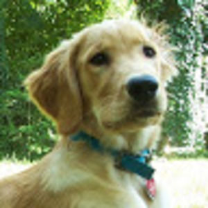 Meet your Posher, Frederick